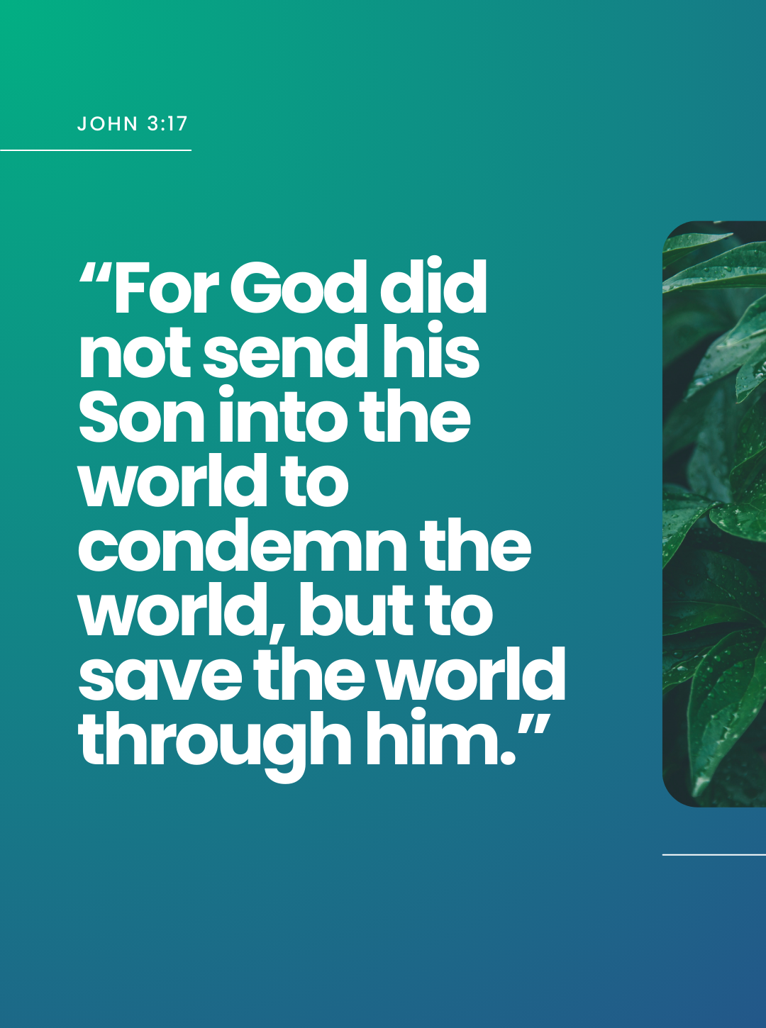 Matthew 317