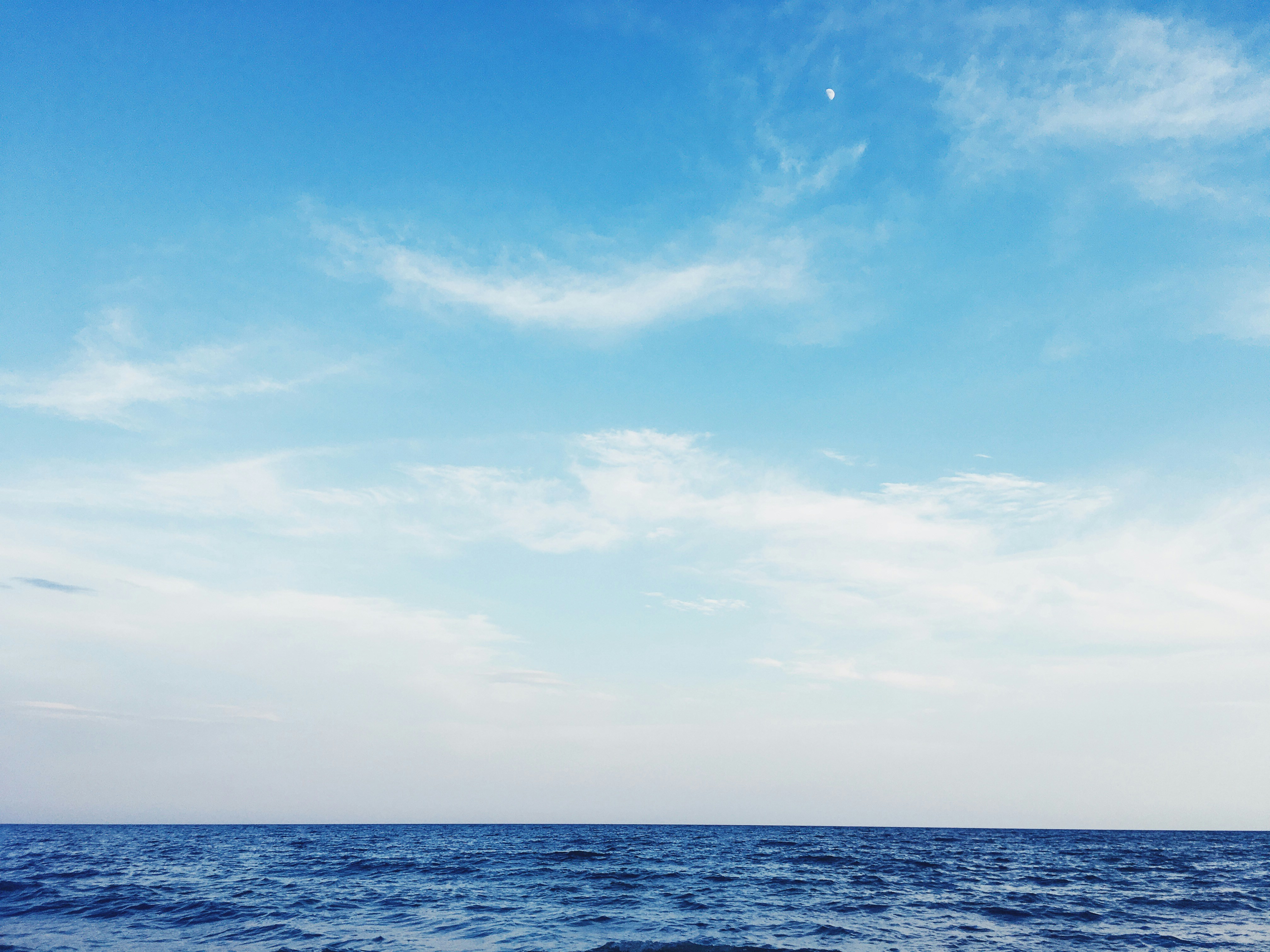 When Giving Hurts: The Widow’s Offering and the Call to Trust
