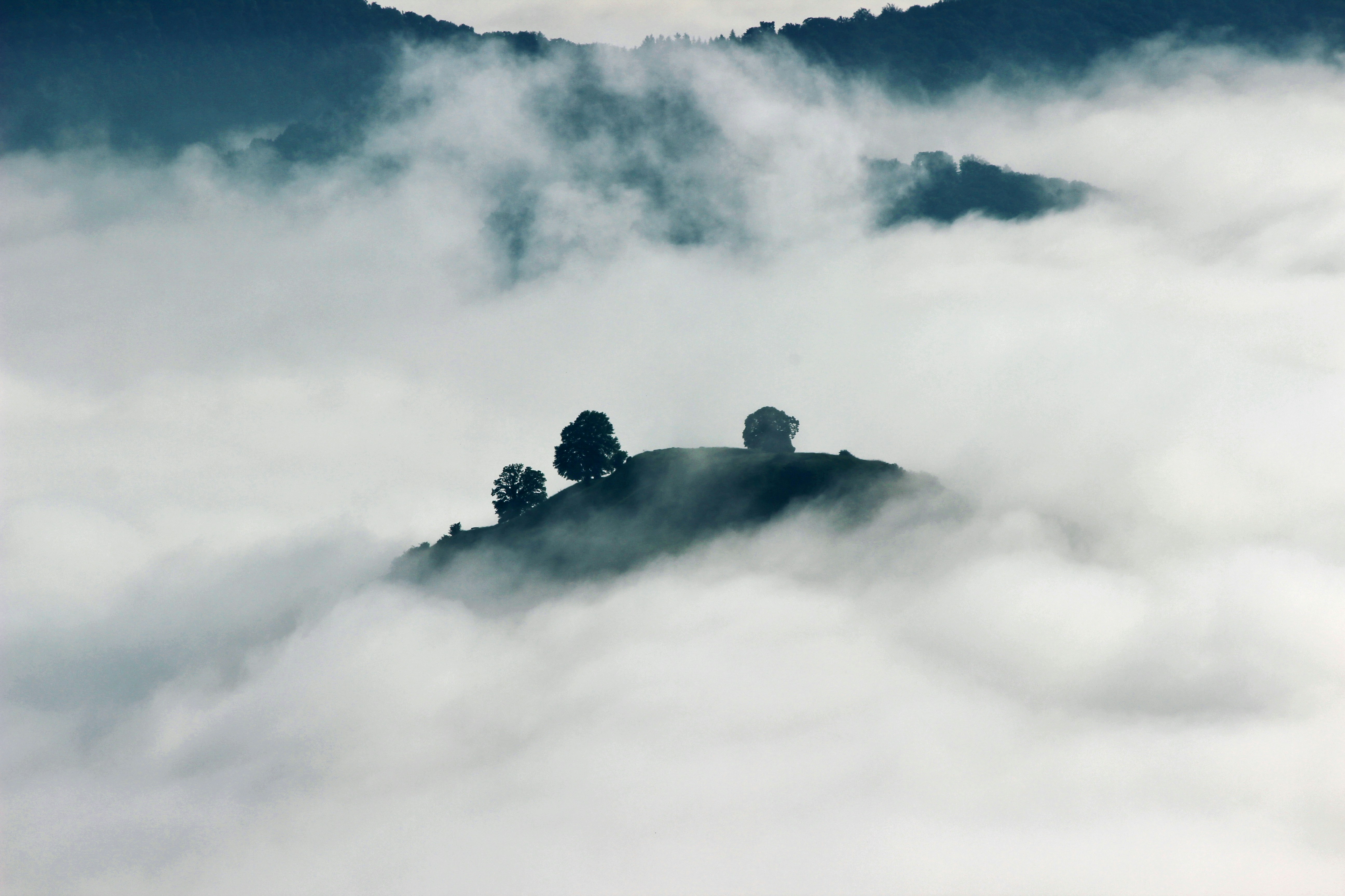 Faithful in the Fog: Trusting God When the Path Isn’t Clear